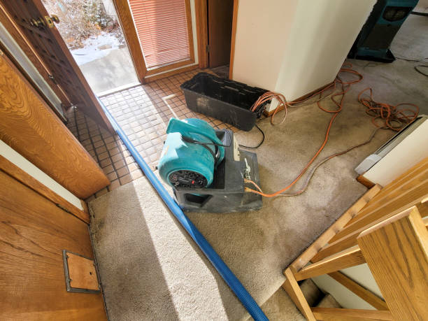 Best Ceiling water damage repair  in Broomall, PA