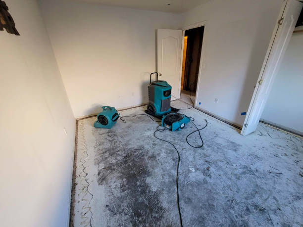 Trusted Broomall, PA Water damage restoration Experts