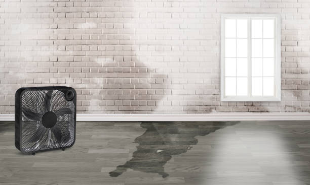 Local water damage restoration in Broomall, PA