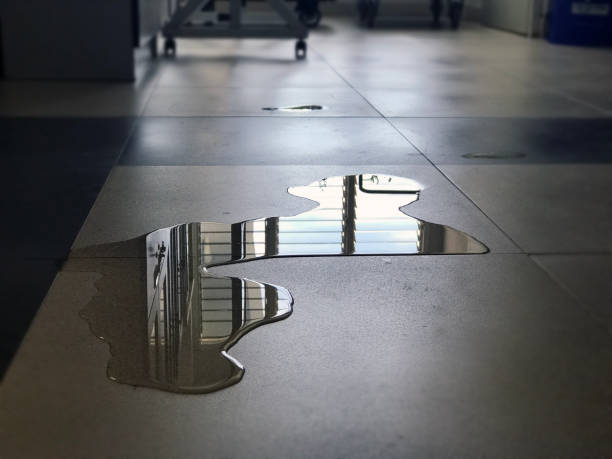 Best 24/7 water damage repair  in Broomall, PA