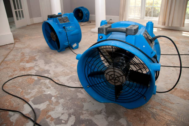 Best Water damage contractors near me  in Broomall, PA