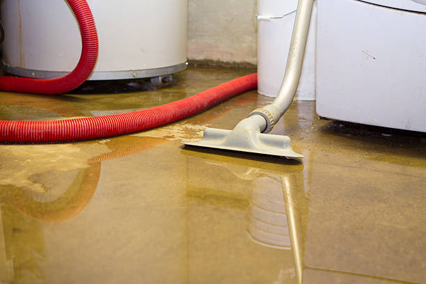 Best Water damage restoration near me  in Broomall, PA