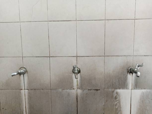 Best Water damage contractors near me  in Broomall, PA