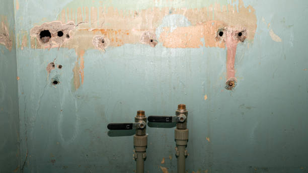 Best Ceiling water damage repair  in Broomall, PA