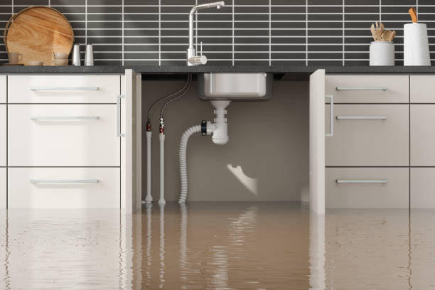Best Water damage restoration near me  in Broomall, PA