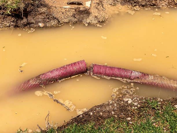 Water damage restoration insurance claims in Broomall, PA
