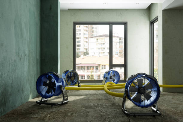 Best Water damage restoration cost  in Broomall, PA