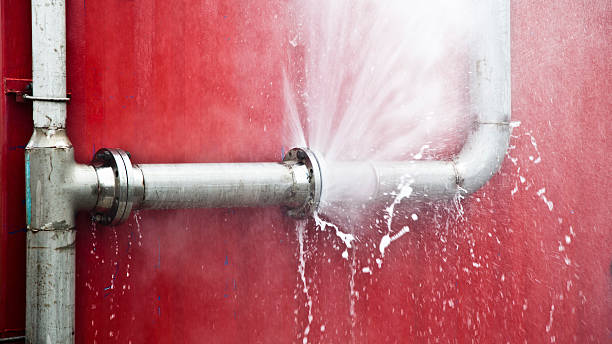 Best Flooded house restoration  in Broomall, PA