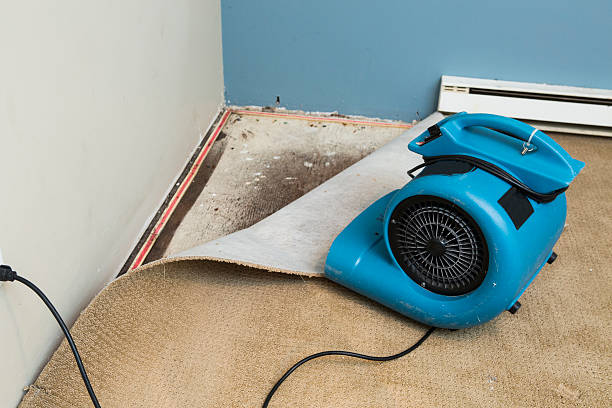 Best Water damage restoration specialists  in Broomall, PA